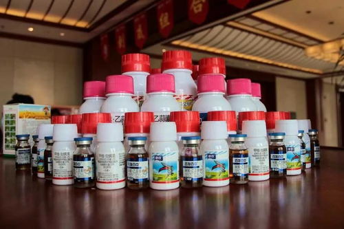 冬儲訂貨超2000萬元 這款藥肥產(chǎn)品成市場新寵